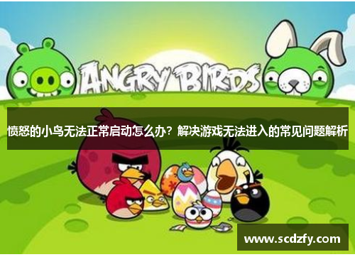 愤怒的小鸟无法正常启动怎么办？解决游戏无法进入的常见问题解析